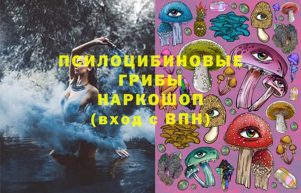 PSILOCYBIN Бугульма