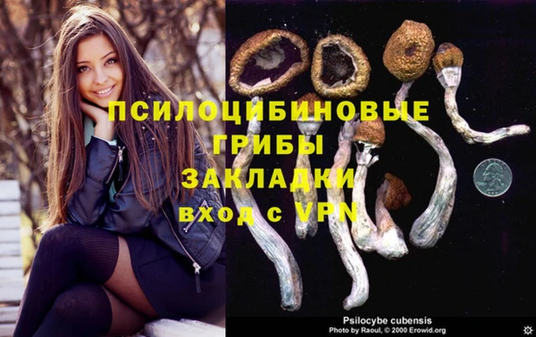 ALPHA PVP Рославль
