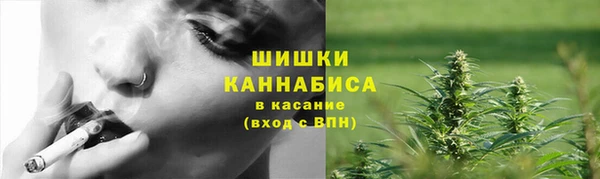 ГАЛЛЮЦИНОГЕННЫЕ ГРИБЫ Бронницы