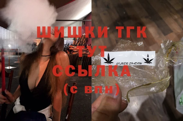 винт Бородино