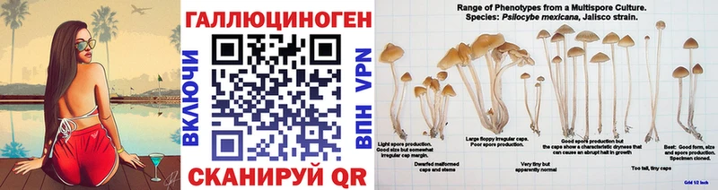 Псилоцибиновые грибы Cubensis  Дедовск 